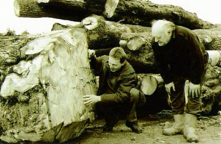 Customer selecting logs